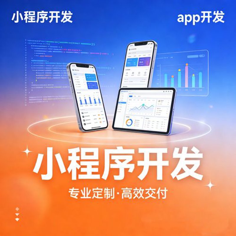 长沙软件开发外包