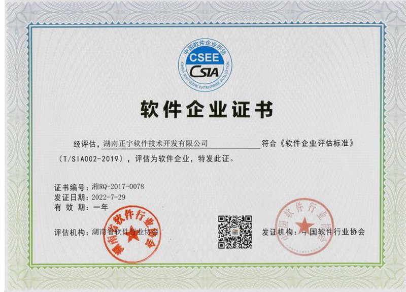 长沙软件开发外包：助推企业信息化升级的高效伙伴